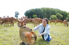 双阳鹿乡老刘家—哪些人群适合吃鹿胎膏？