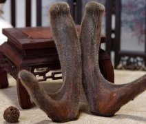 双阳鹿乡老刘家鹿茸泡酒能壮阳吗鹿茸怎么选择
