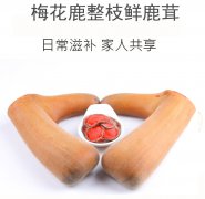 双阳鹿乡老刘家吃鹿茸有哪些禁忌？哪些人不适