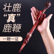 双阳鹿乡老刘家---鹿鞭是鹿的什么部位？鹿鞭才